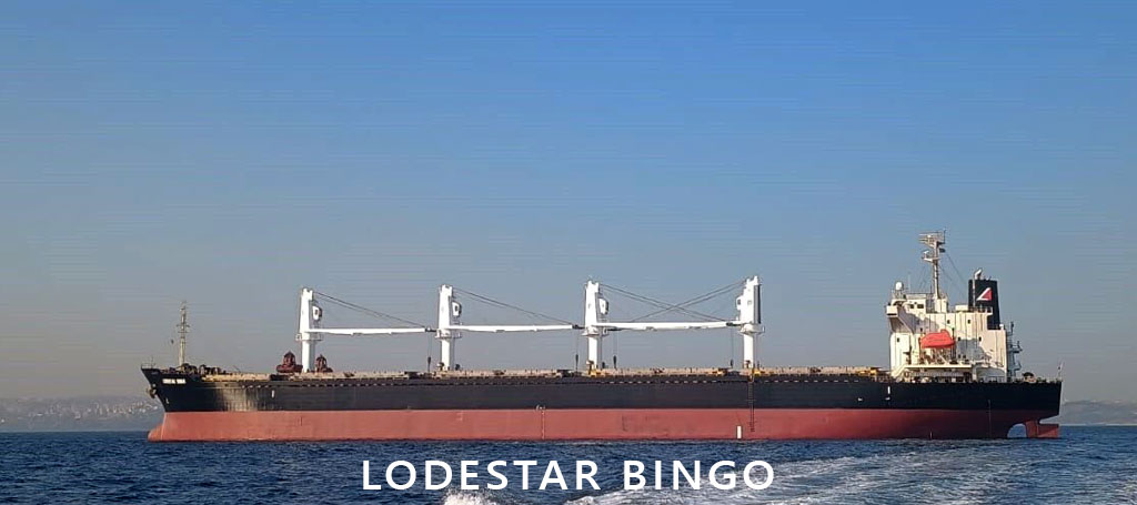 LODESTAR-BINGO